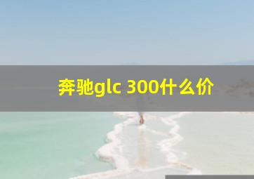 奔驰glc 300什么价